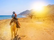 Sinia overview CTE-SD130