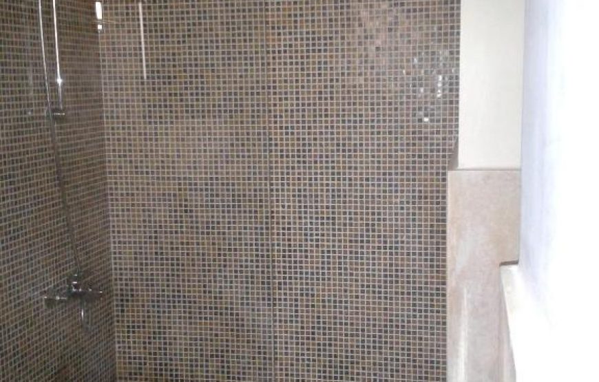 Deluxe Single Suite