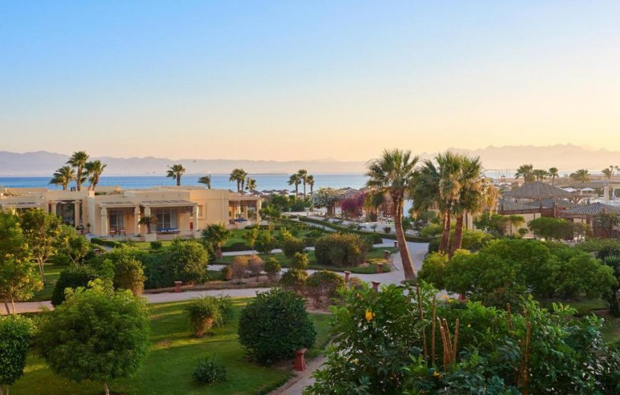 Classic Guest Room, Guest room, Single Bed